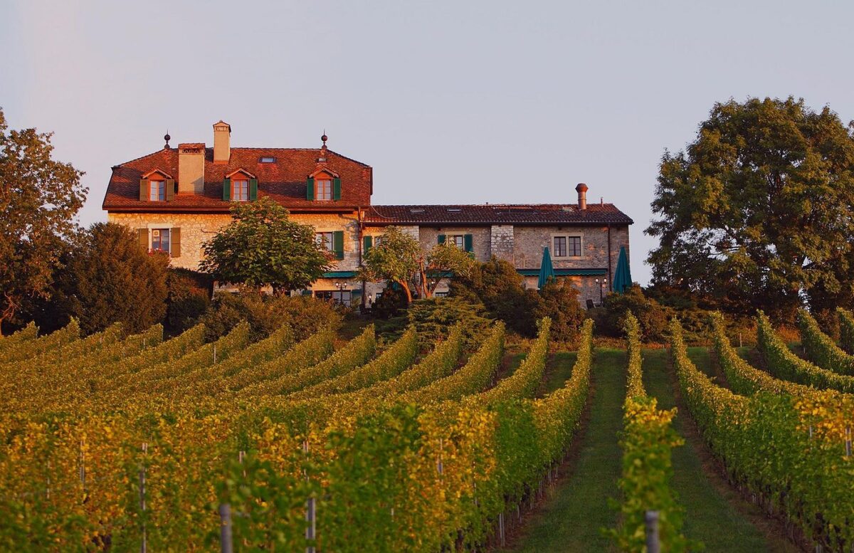 Domaine de Châteauvieux – Image 8