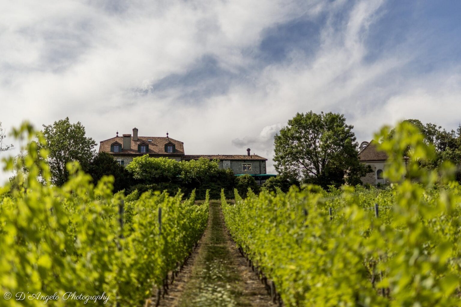 Domaine de Châteauvieux