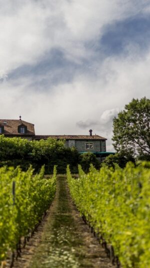 Domaine de Châteauvieux