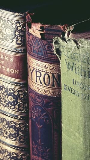 High-end gourmet dinner – exclusive tour of Geneva