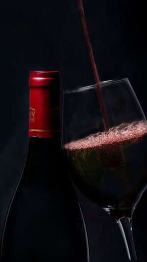 Cave à vins d exception - collection et curation Swiss Collector Genève