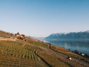 Terrasses viticoles de Lavaux surplombant le lac Léman avec les Alpes suisses en arrière-plan